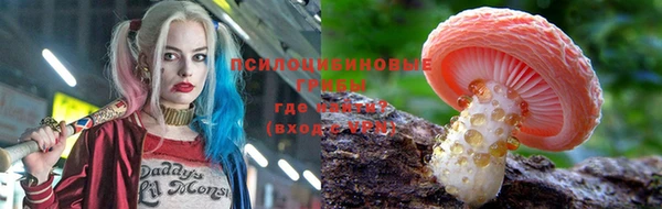 дурь Тихвин