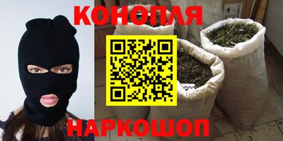 индика Беслан