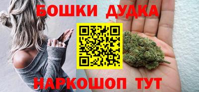 индика Беслан