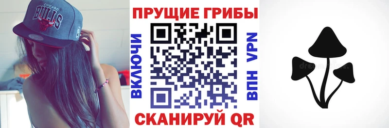 Галлюциногенные грибы мухоморы  hydra онион  Димитровград 