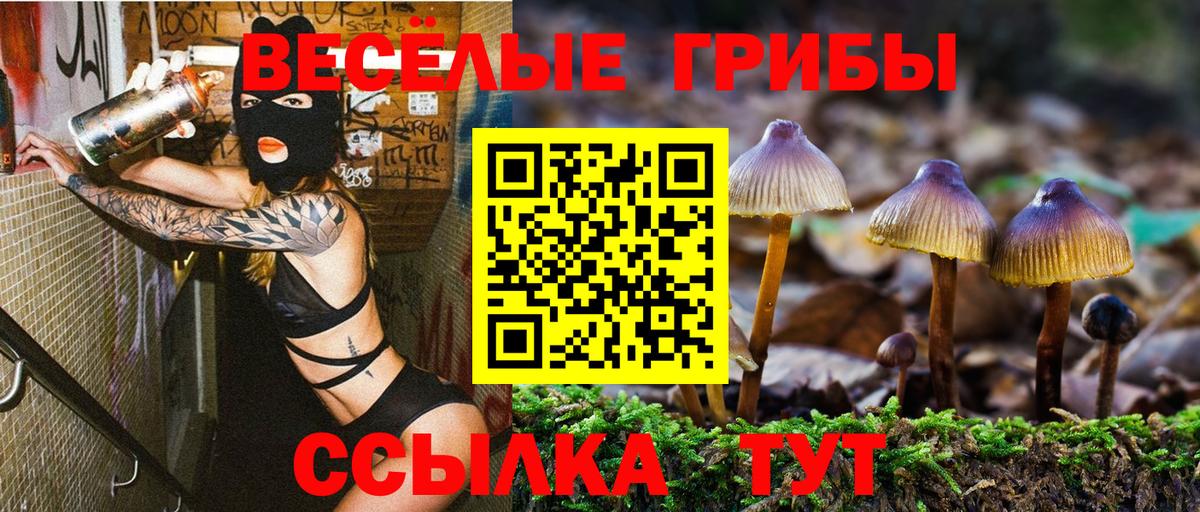 Псилоцибиновые грибы мицелий Димитровград
