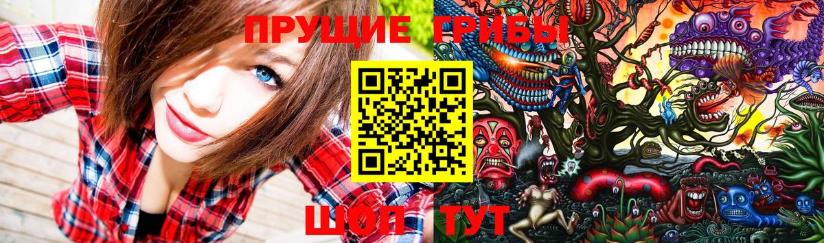 Галлюциногенные грибы Psilocybine cubensis  Галлюциногенные грибы MAGIC MUSHROOMS  Димитровград  Вход с VPN 